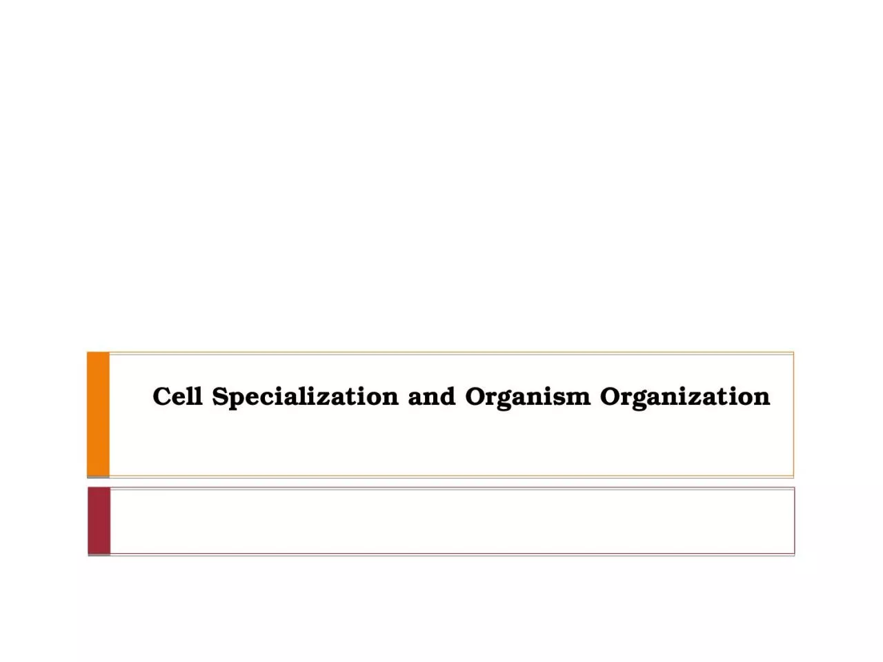 Cell Specialization and Organism Organization