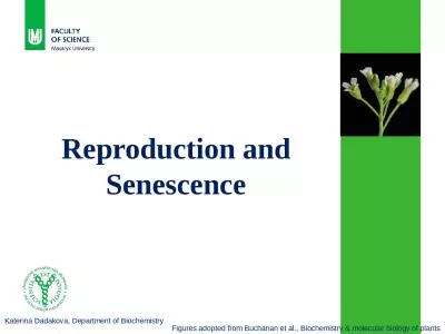 1 Reproduction  and Senescence