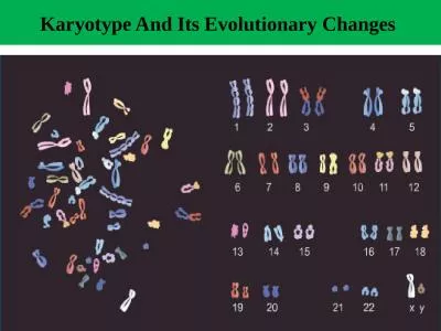 Karyotype  And Its  Evolutionary Changes