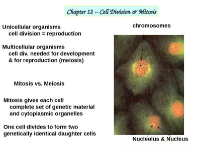 Chapter 12 -- Cell Division & Mitosis