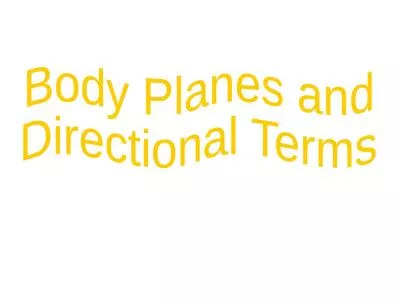 Body Planes and  Directional Terms