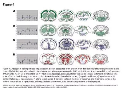 Figure 4 Figure 4.&nbsp;Brain lesion profiles (left panels) and disease-associated