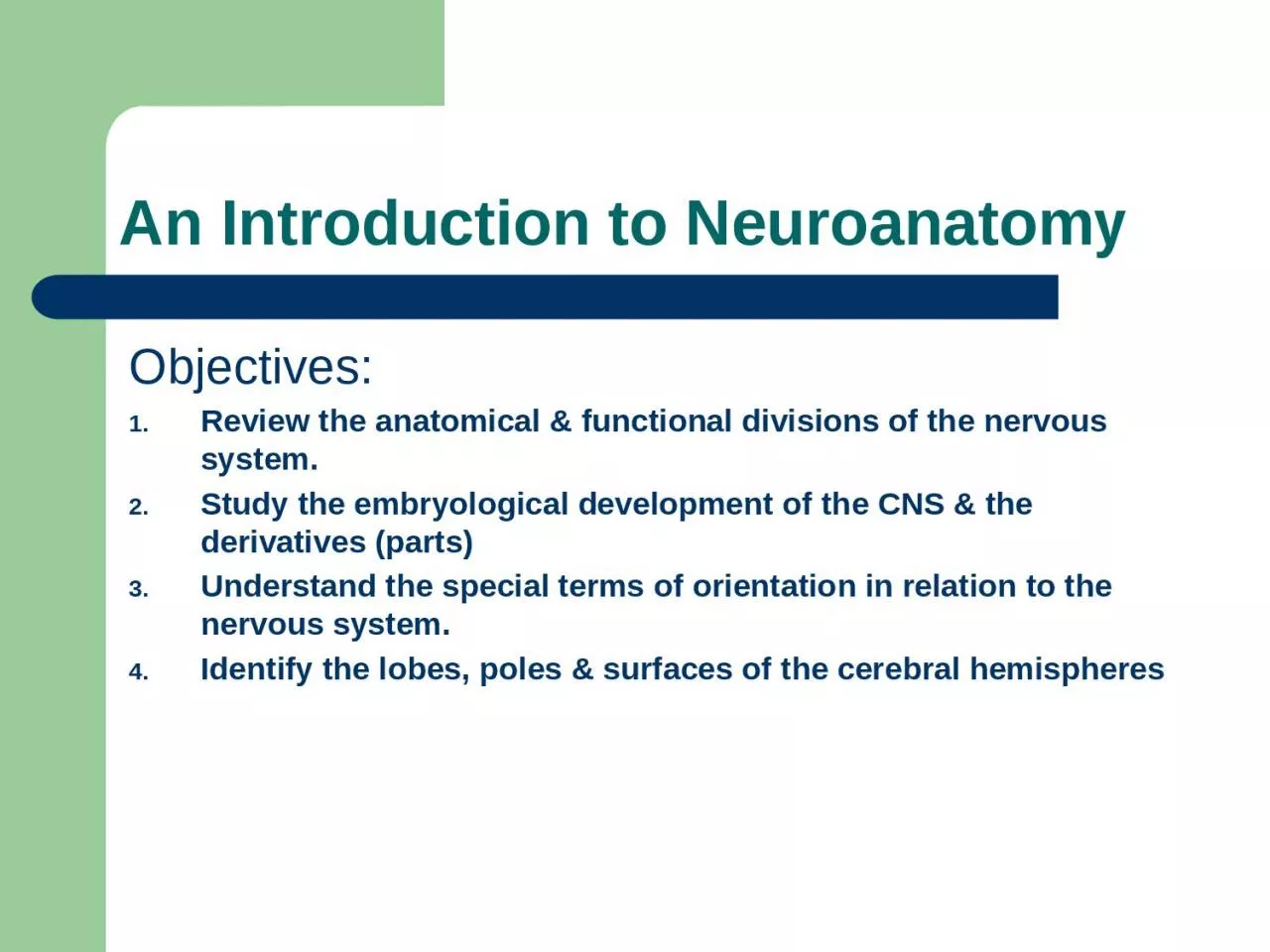 PPT-An Introduction to Neuroanatomy