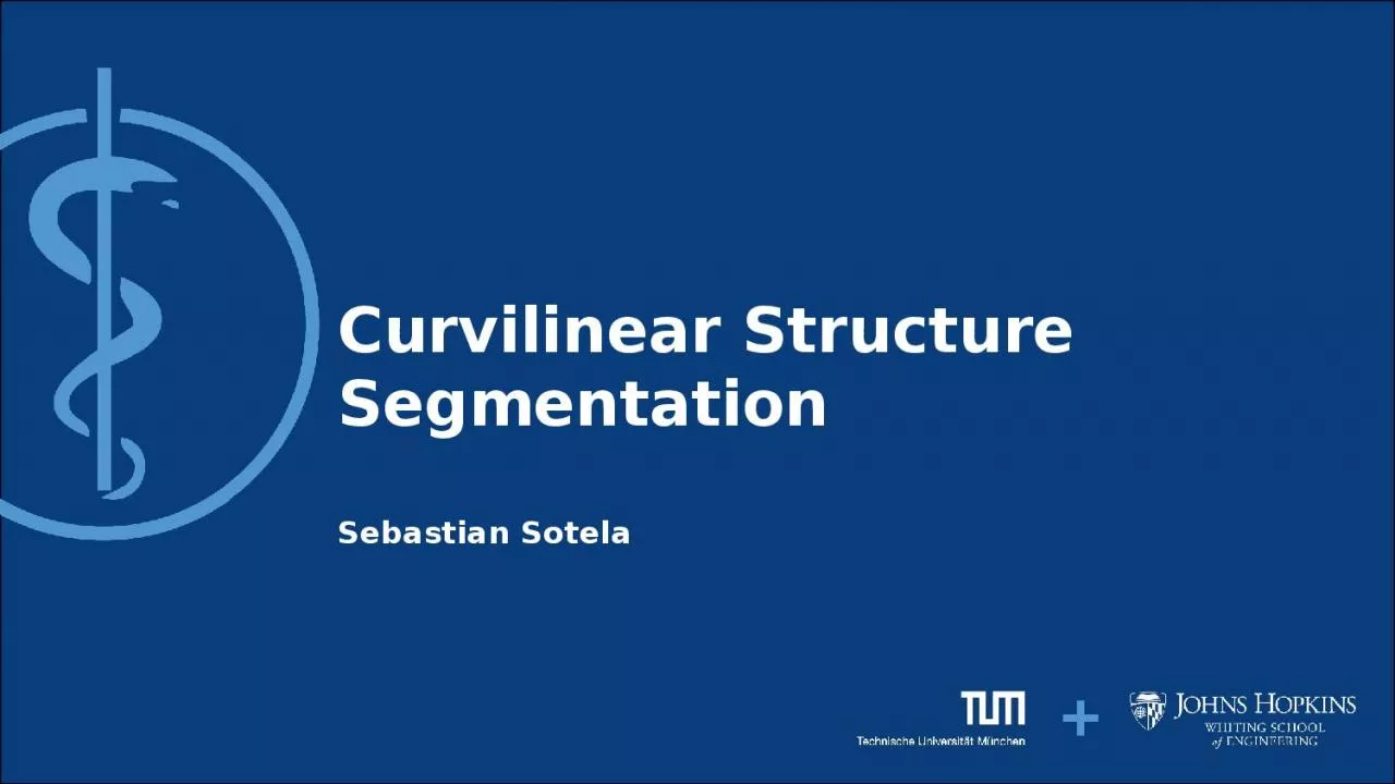 Curvilinear Structure Segmentation