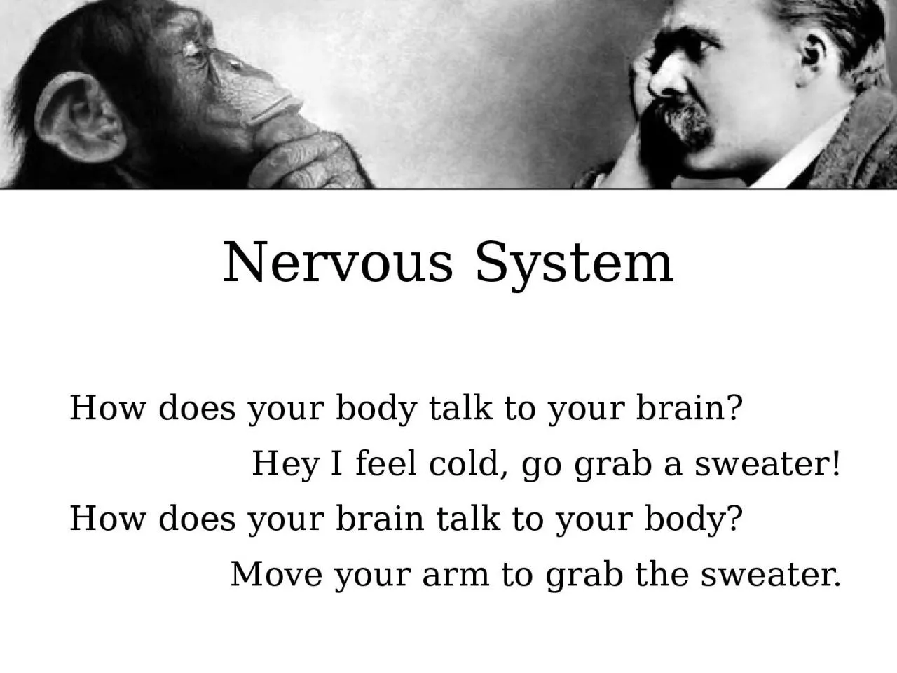 PPT-Nervous System How does your body talk to your brain?