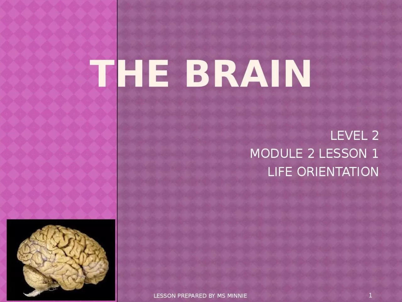 PPT-The Brain LEVEL 2 MODULE 2 LESSON 1