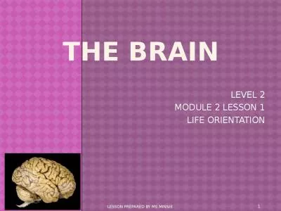 The Brain  LEVEL 2  MODULE 2 LESSON 1