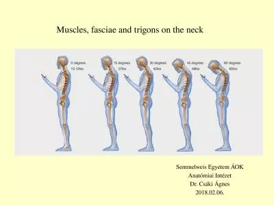 Muscles ,  fasciae  and