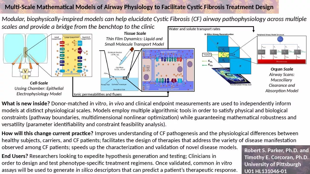 PPT-Multi-Scale Mathematical Models of Airway Physiology to Facilitate Cystic Fibrosis Treatment