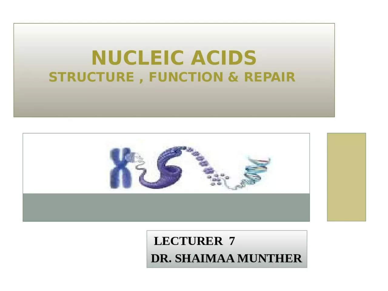 Nucleic acids Structure , Function & Repair