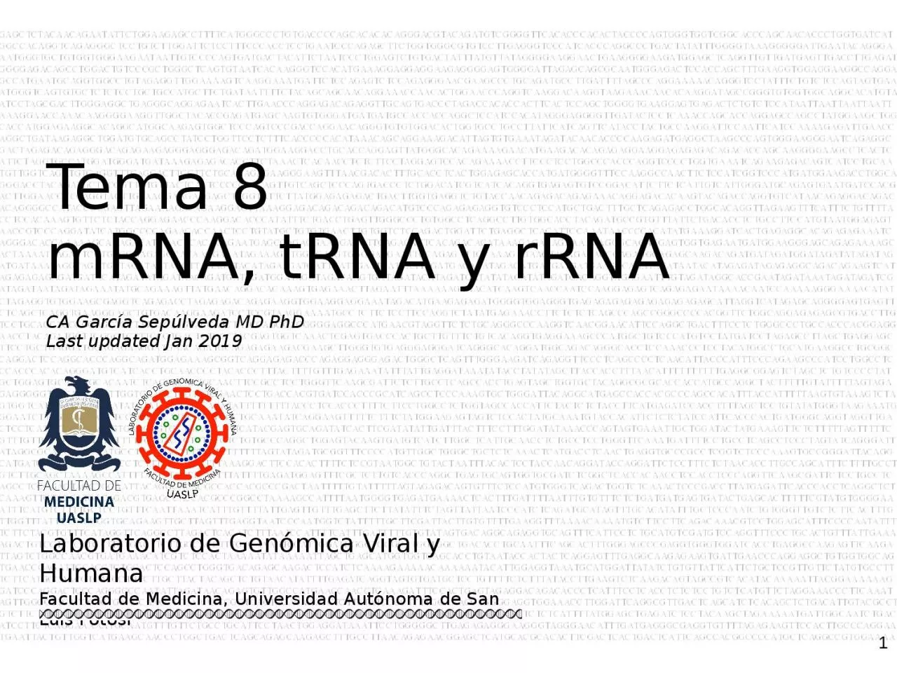 PPT-Tema 8 mRNA, tRNA y rRNA