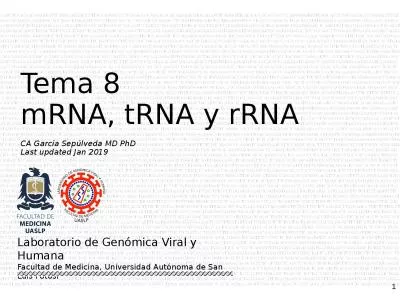 Tema 8 mRNA, tRNA y rRNA