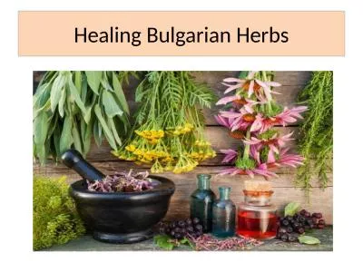 Healing Bulgarian Herbs Chamomile