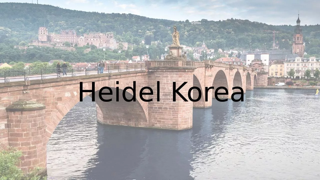 Heidel Korea Introduction