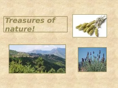 Treasures of nature!   The purpose of our business is to