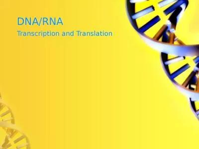 DNA/RNA Transcription and Translation