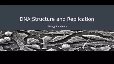 DNA Structure and Replication