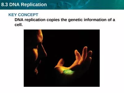 KEY CONCEPT  DNA replication copies the genetic information of a cell.