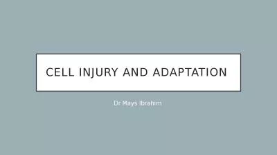 C ell injury and adaptation