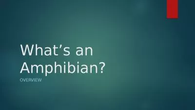 What’s an Amphibian?  overview