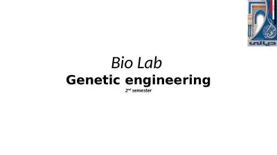 Bio Lab  Genetic engineering