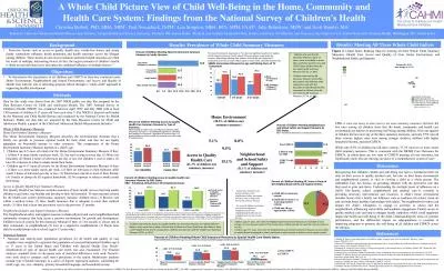 A Whole Child Picture View of Child Well-Being in the Home, Community and Health Care System: Findi