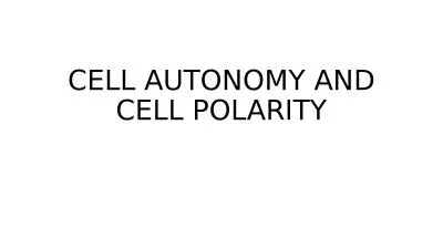 CELL AUTONOMY AND CELL POLARITY
