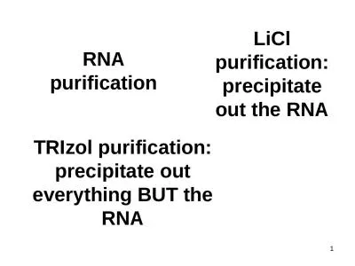 RNA purification 1 LiCl purification: precipitate out the RNA