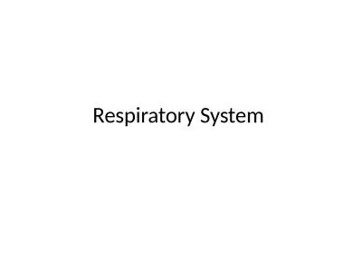 Respiratory System  The