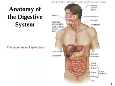 1 Anatomy of the Digestive System