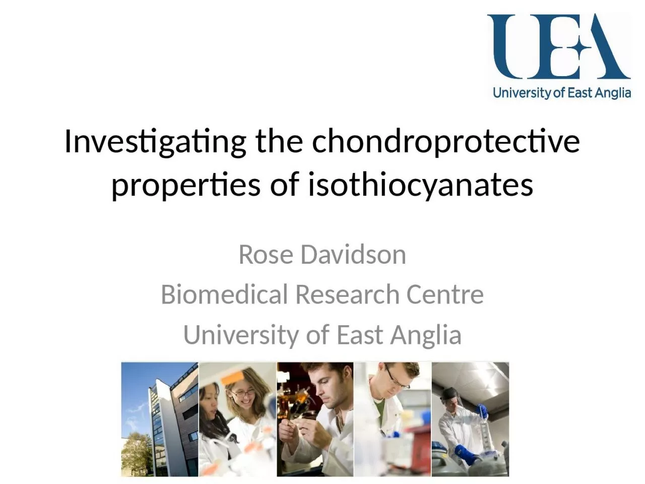 Investigating the chondroprotective properties of