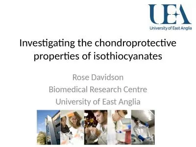 Investigating the chondroprotective properties of