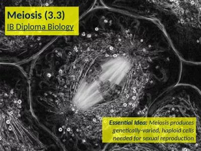 Meiosis (3.3) IB Diploma Biology