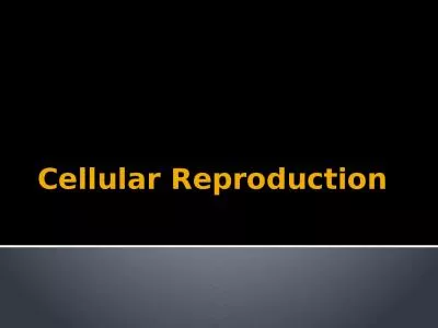 Cellular Reproduction Chromosomes