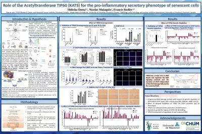 Role of the Acetyltransferase TIP60 (KAT5) for the pro-inflammatory secretory phenotype of senescen