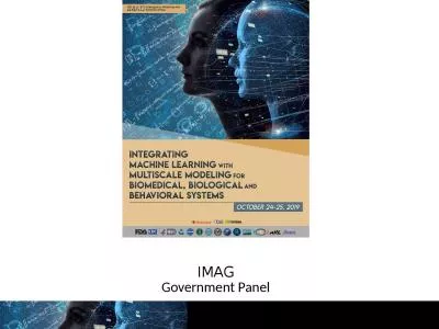IMAG Government Panel Digital Twin – Leonardo Angelone
