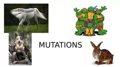 MUTATIONS Chromosome Review