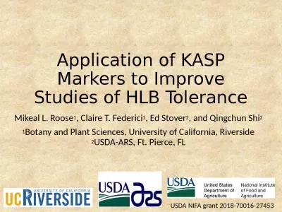 Application of KASP Markers to Improve Studies of HLB Tolerance