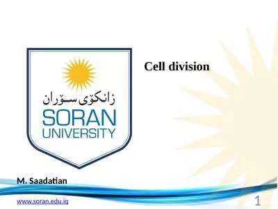 M.  Saadatian Cell division