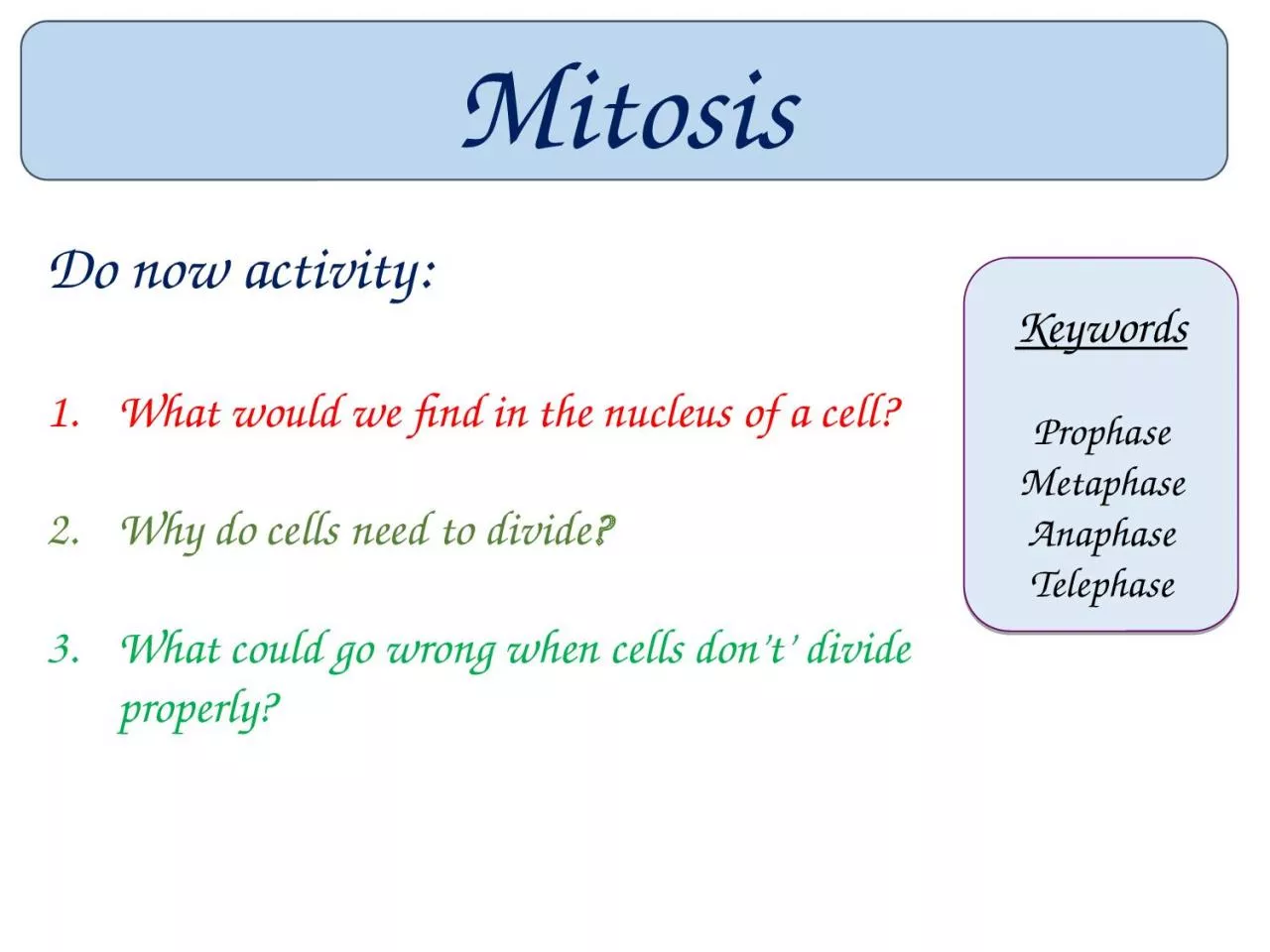 Mitosis Keywords Prophase