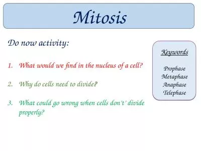 Mitosis Keywords Prophase