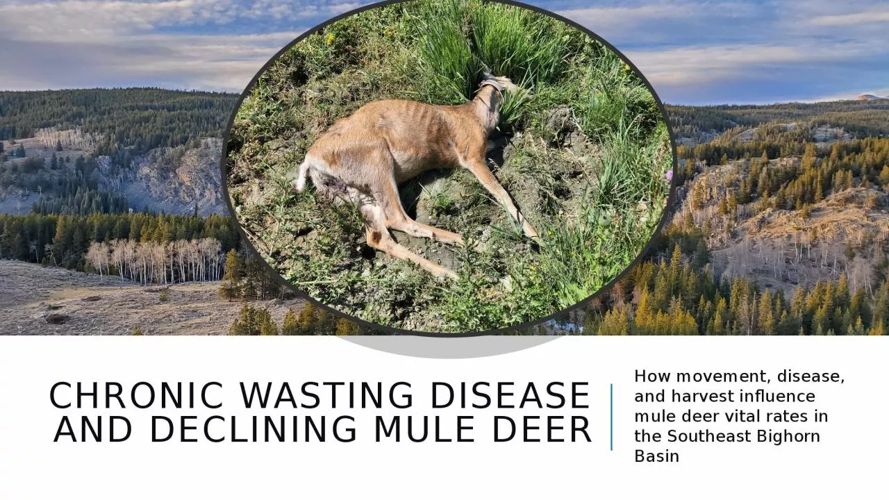 Chronic Wasting Disease and Declining Mule