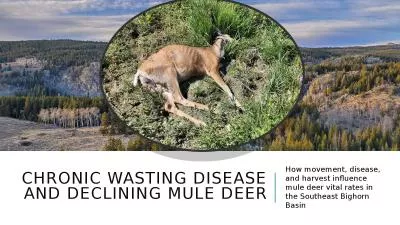 Chronic Wasting Disease and Declining Mule