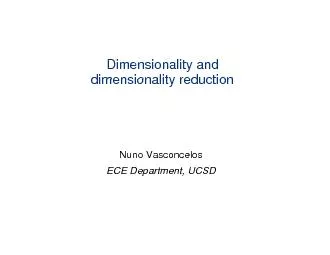Dimensionality and