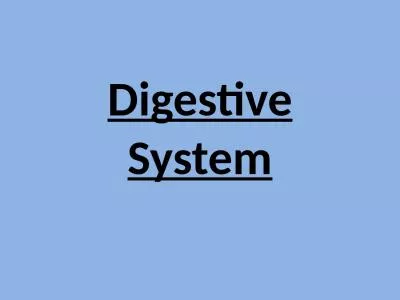 Digestive System Digestion