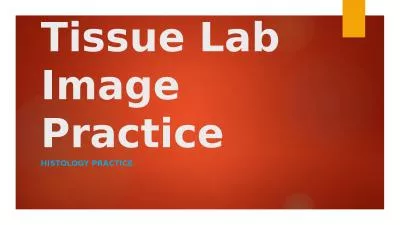 Tissue Lab Image Practice
