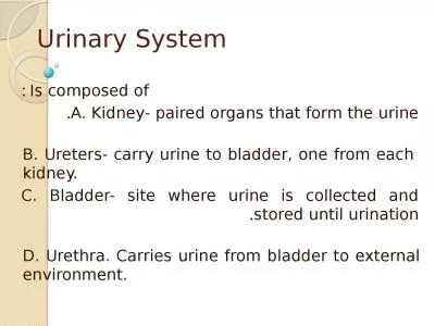 Urinary System Is composed of :
