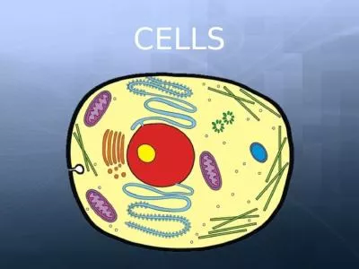 CELLS Introduction to Cells