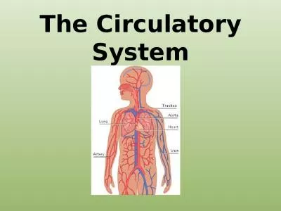 The Circulatory System What is the Purpose