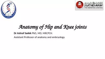 Anatomy of  Hip and Knee joints